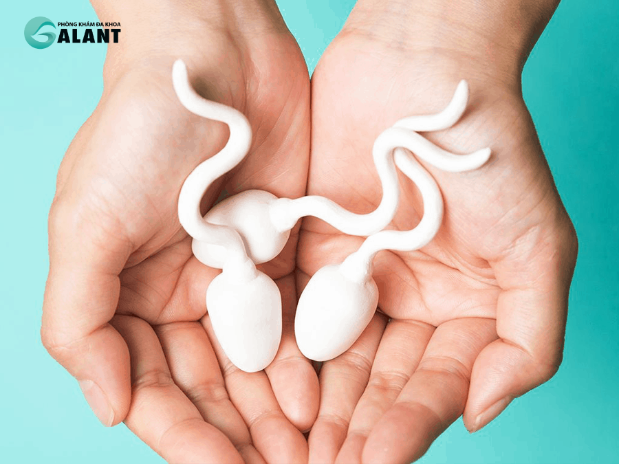 Cảm Giác Của Nam Nữ Khi Tinh Trùng Bắn Vào đầy Tử Cung