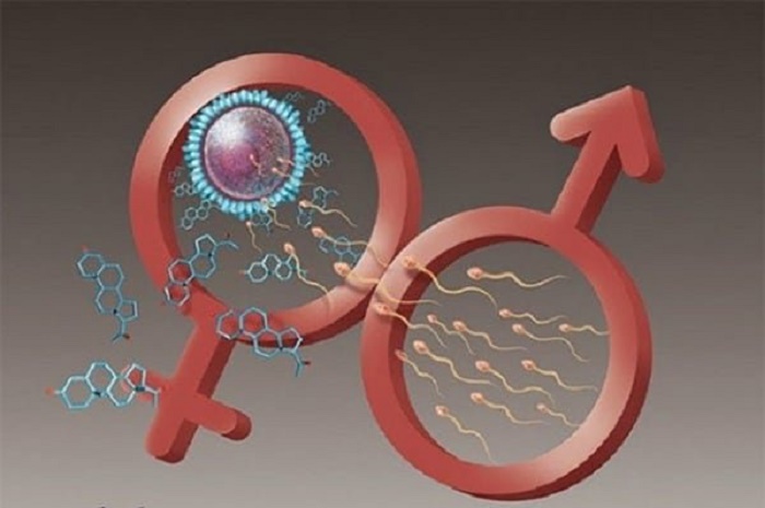 Cảnh báo Chống xuất tinh sớm bằng Kem Đánh Răng có thật sự hiệu quả - Vật lý trị liệu