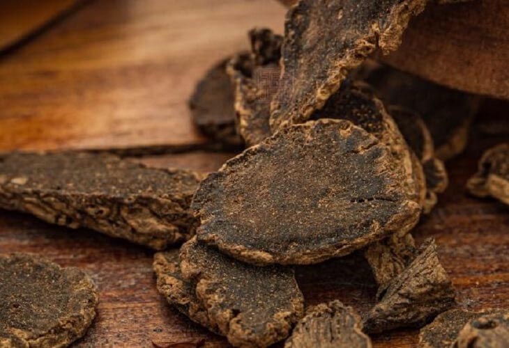 Cây Đỗ Trọng Và Tác Dụng Bổ Can Thận, Mạnh Gân Cốt