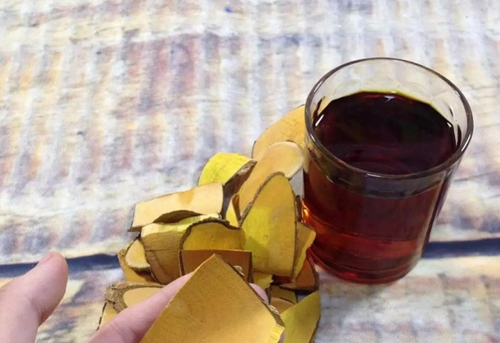 Cây Mật Gấu: Tác Dụng Và Cách Sử Dụng Hiệu Quả