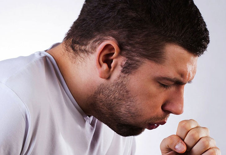 Lợi Ích Chữa Bệnh Của Cây Ô Rô Trong Y Học Cổ Truyền