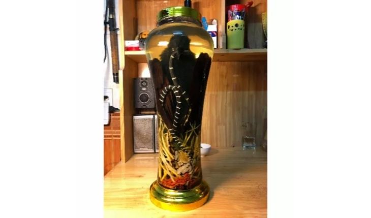 Mách Bạn Cách Ngâm Rượu Bìm Bịp Tốt Cho Sức Khỏe