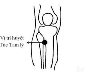 Huyệt Túc Tam Lý