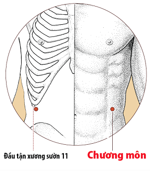 Huyệt Chương Môn