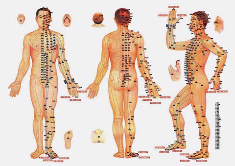 Hệ Thống Kinh Lạc và Huyệt Vị