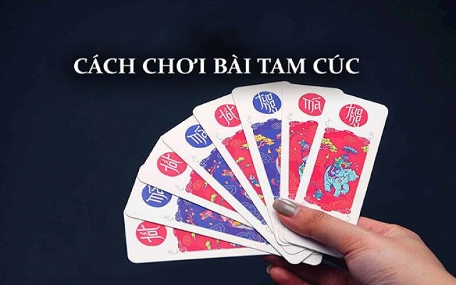Cách chơi bài Tam Cúc đúng luật cho người mới