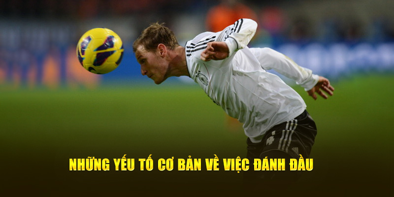 Các yếu tố cơ bản khi thực hiện đánh đầu