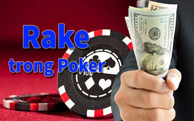 Rake - Sự ảnh hưởng của Raker đến người chơi Poker