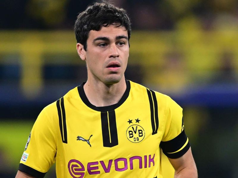 Giovanni Reyna trong màu áo đội tuyển Mỹ