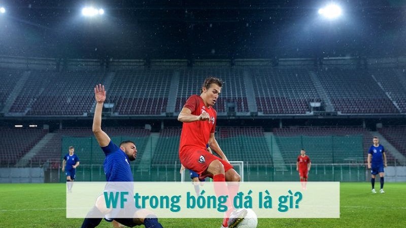 WF trong bóng đá là gì? Vai trò và những đặc điểm