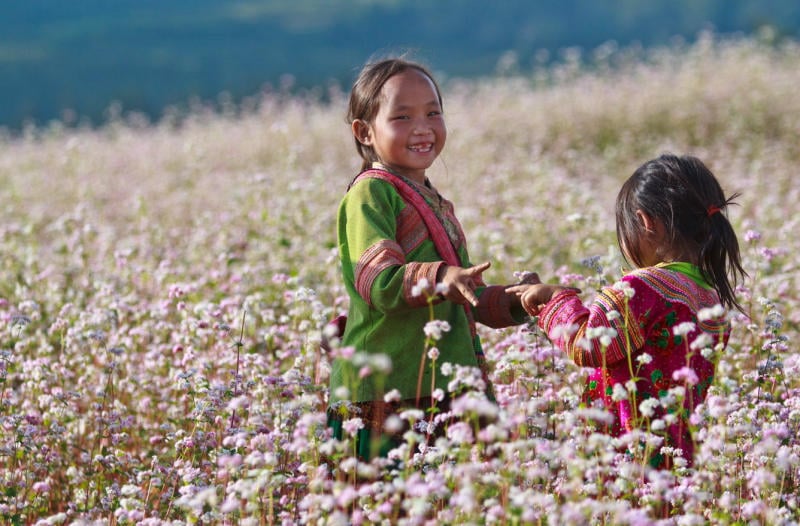 Du lịch Cao Bằng mùa nào đẹp nhất?