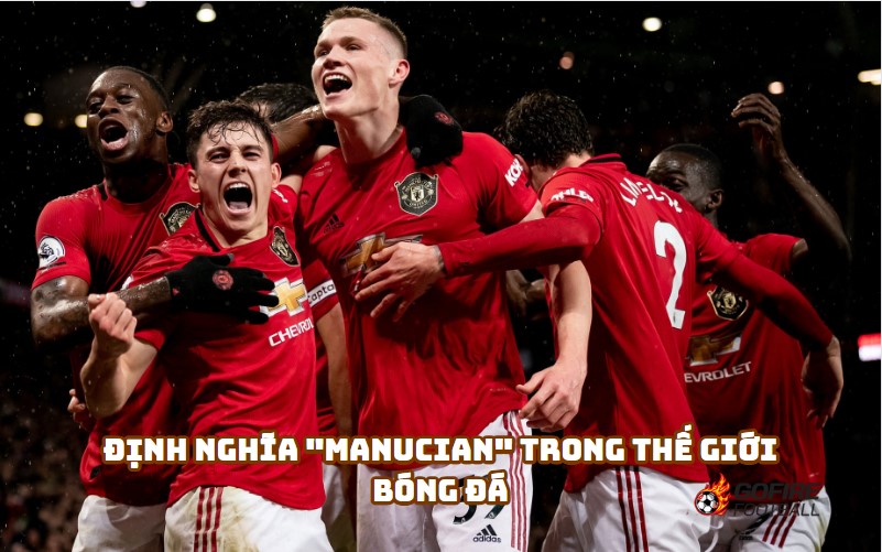 Manucian: Hành Trình và Đam Mê Của Người Hâm Mộ Manchester United